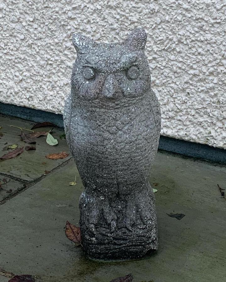 Owlswood Apartments Edinbane Εξωτερικό φωτογραφία